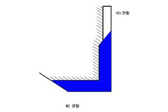 T다이 립에지 코팅2